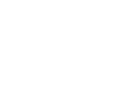 QUICKSPIN